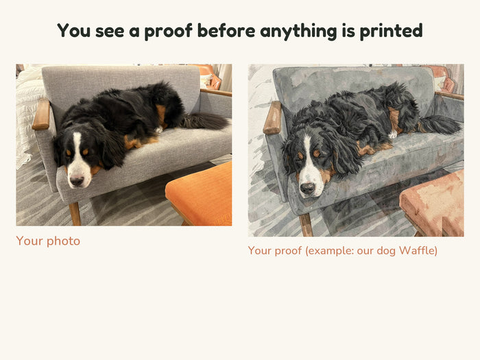 A photo of Waffle on his armchair next to the watercolor proof made from it