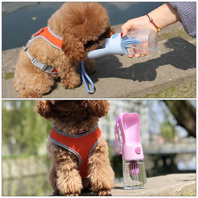 Dog drinking from a portable pet water bottle outdoors