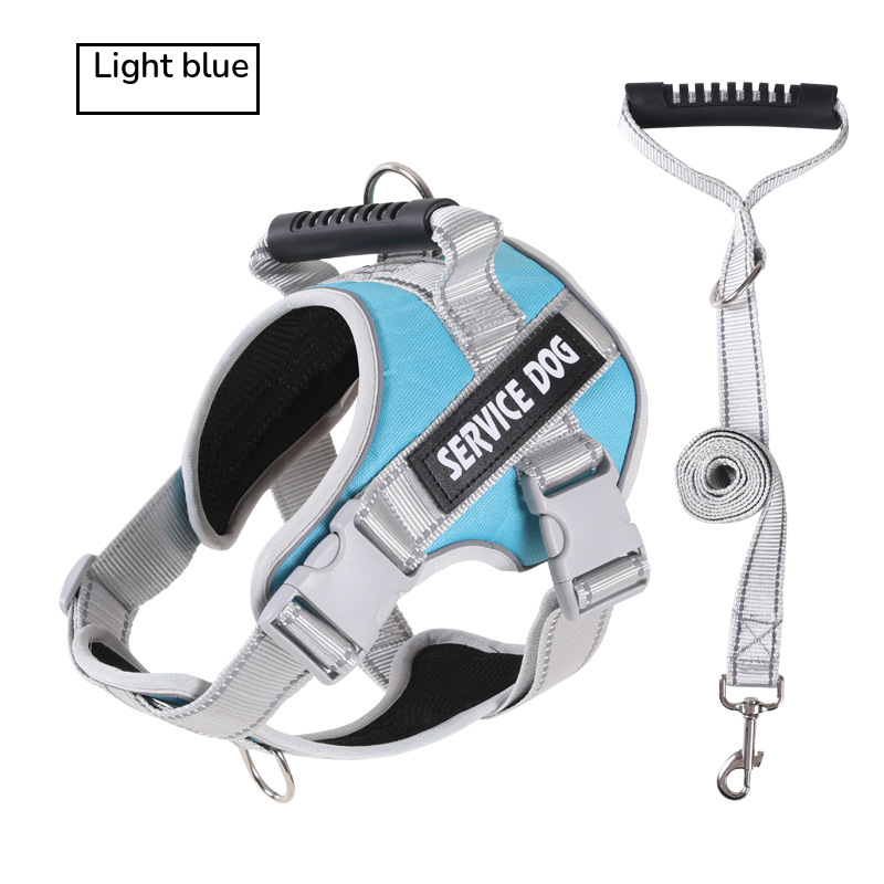 Aqua padded harness with a top handle, shown with its grey matching leash on white