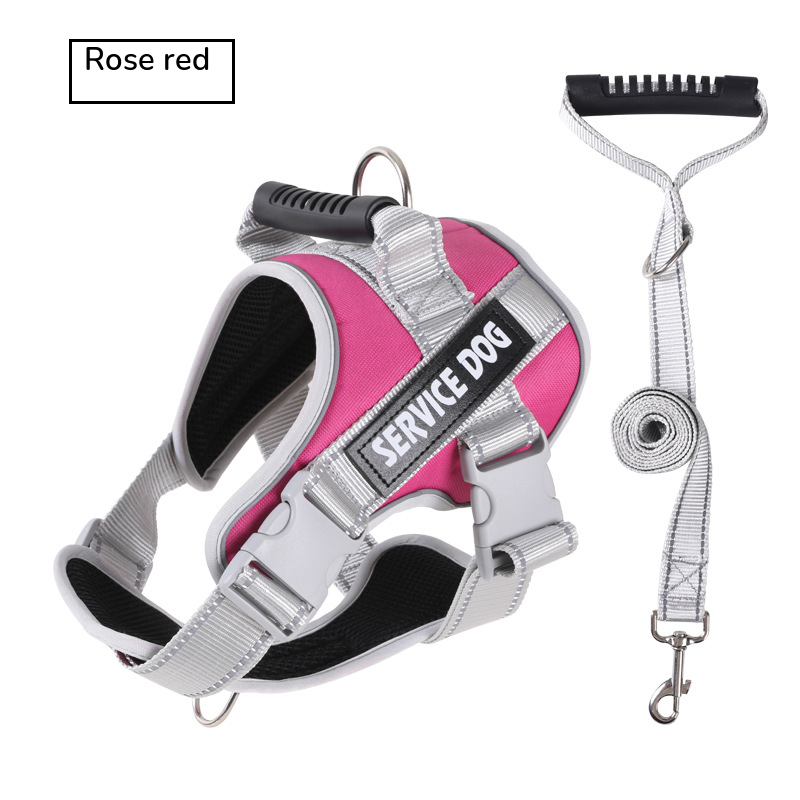 Magenta padded harness with a top handle, shown with its grey matching leash on white