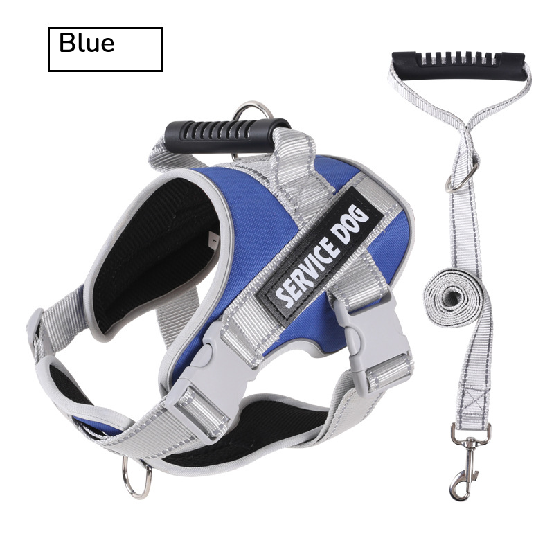 Royal blue padded harness with a top handle, shown with its grey matching leash on white