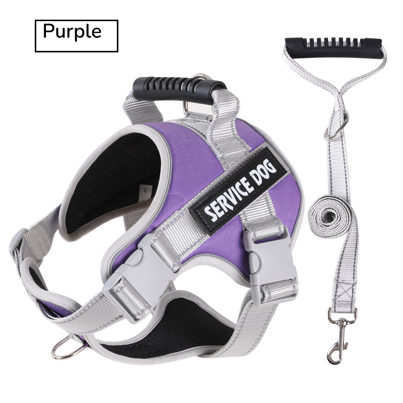 Purple padded harness with a top handle, shown with its grey matching leash on white