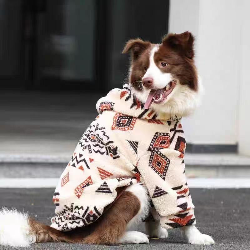 Brown and white border collie sitting in a doorway in a cream fleece coat with a geometric pattern