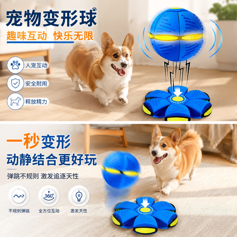 Pop-Open Flying Saucer Dog Ball, Light-Up or Plain