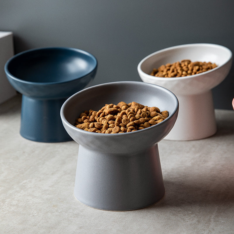 Tilted Ceramic Pet Bowl on a Raised Base, 5.2 in Tall