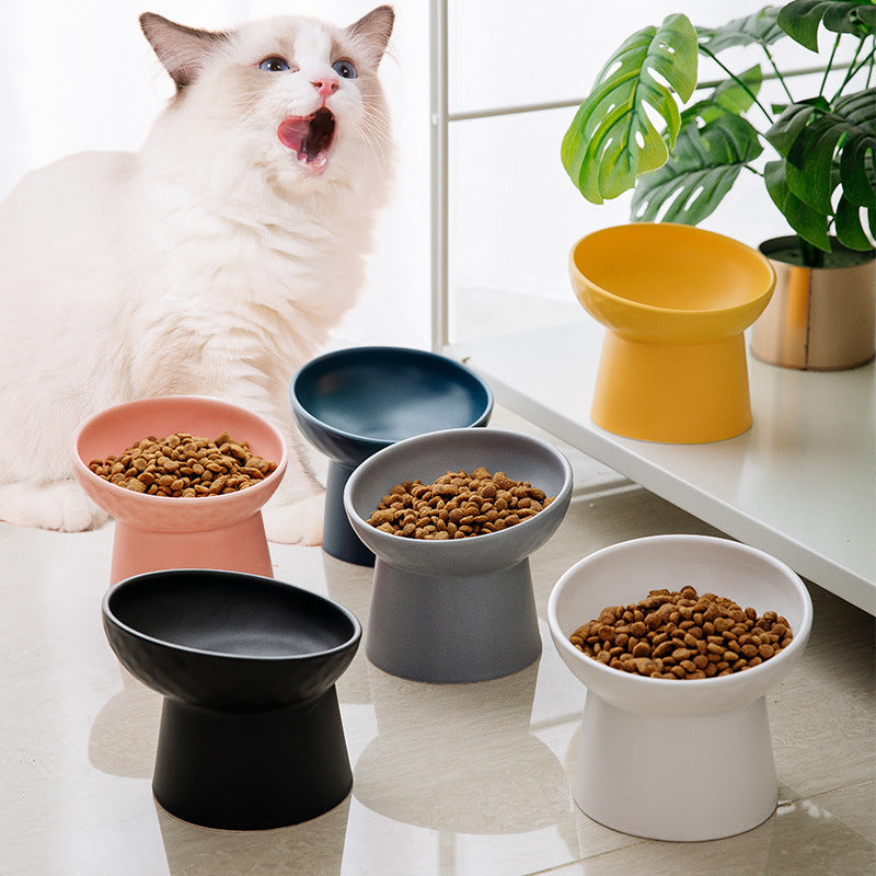 Tilted Ceramic Pet Bowl on a Raised Base, 5.2 in Tall