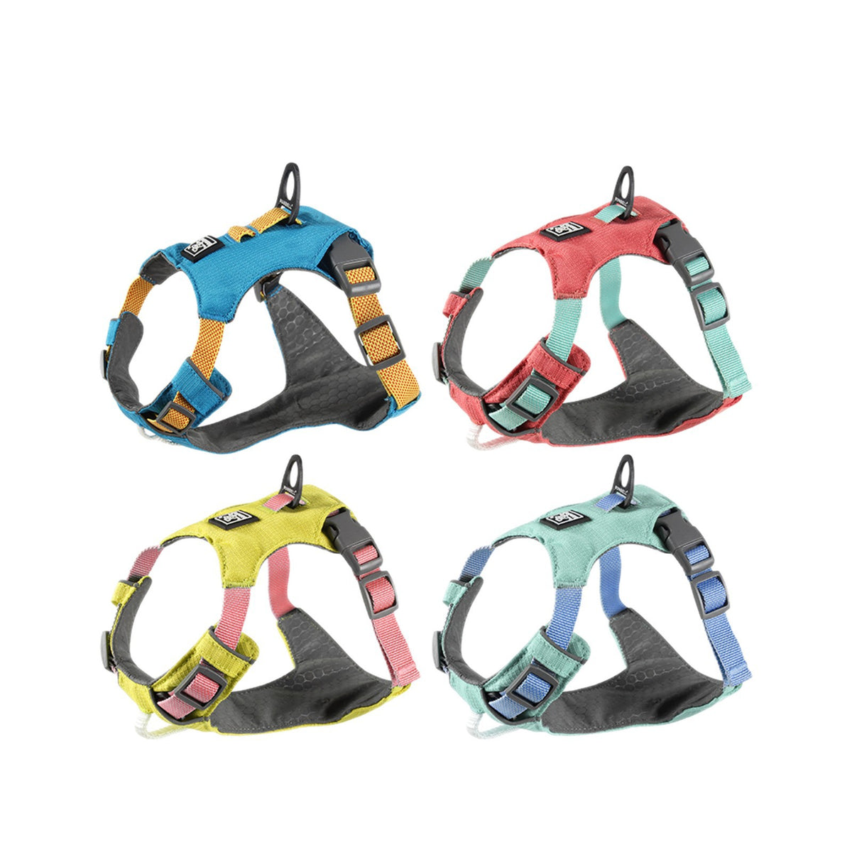 Lightweight Dog Harness with Front and Back Leash Rings, Leash and Collar