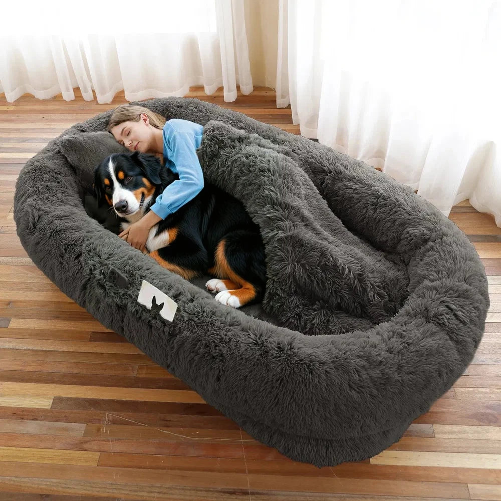 Woman sleeping with a Bernese mountain dog in a dark gray faux fur human dog bed