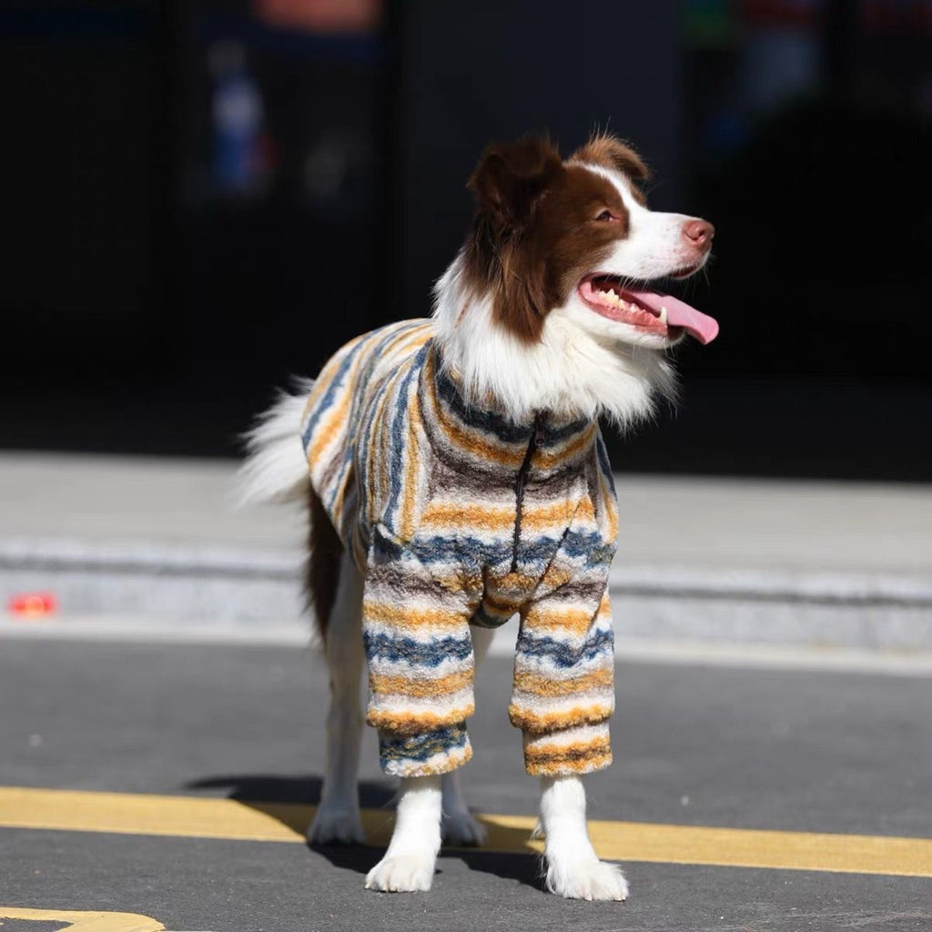 Collie standing on sunlit tarmac in the striped fleece, drawcord at the chest