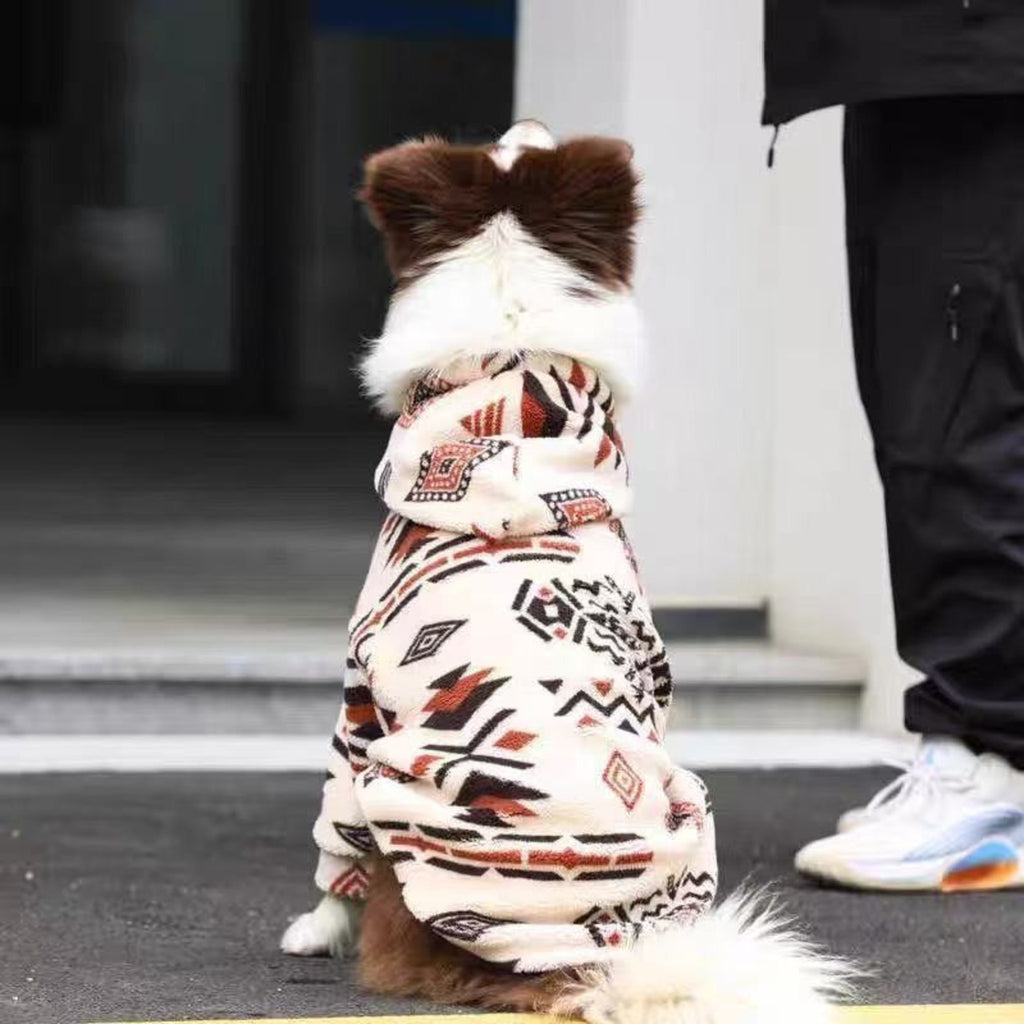Rear view of the collie in the cream pullover on a pavement