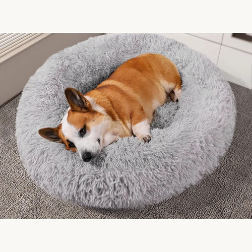 A corgi curled inside a light grey donut bed on a carpeted floor