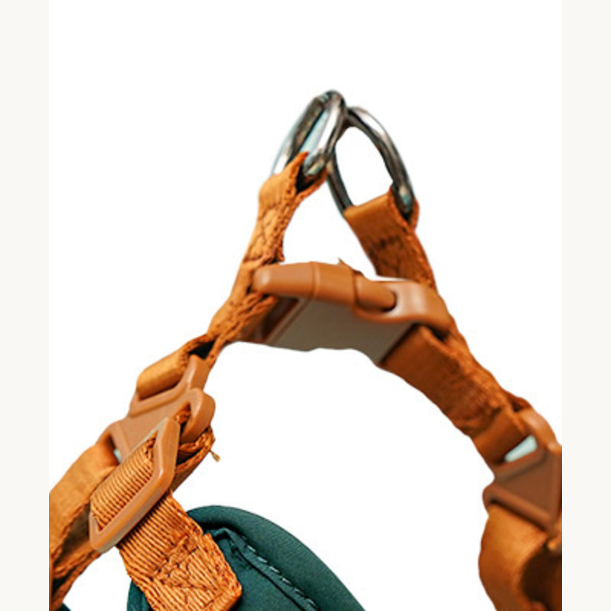 Top straps, side-release buckle and the twin metal rings seen close up