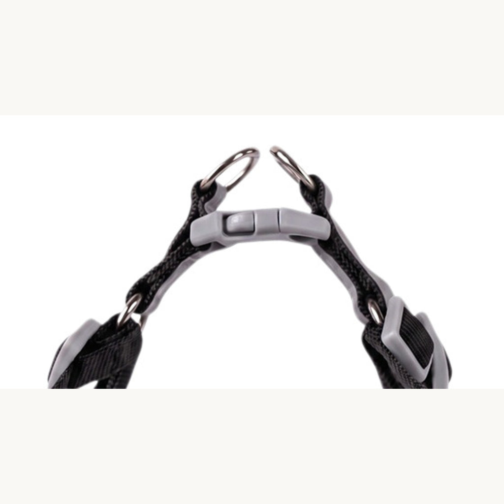 Neck strap, grey side-release buckle and the two metal rings, close up