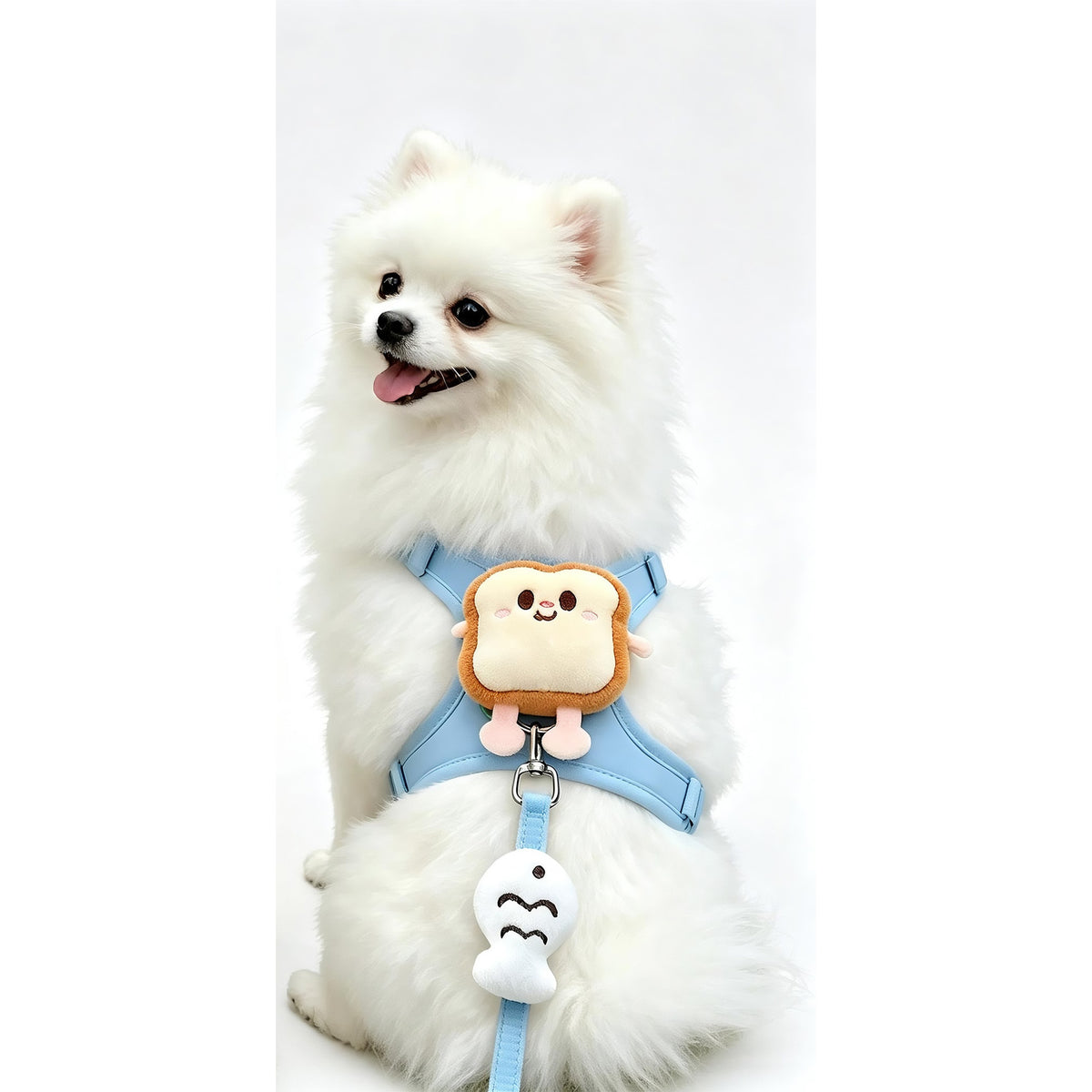 Pale blue harness with a toast charm and matching lead on a small white dog, plain white background