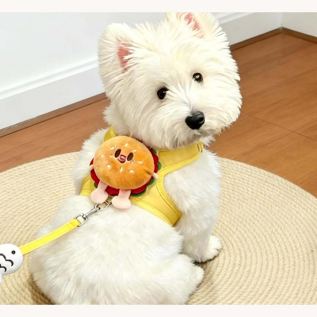 White terrier sitting indoors on a woven mat in the yellow burger harness