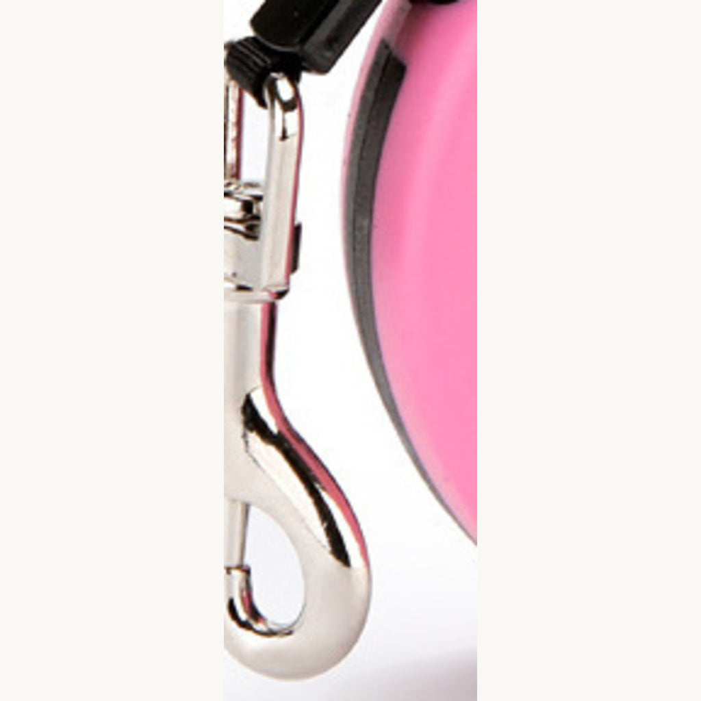 Silver snap hook and the woven tape at the nose of the leash