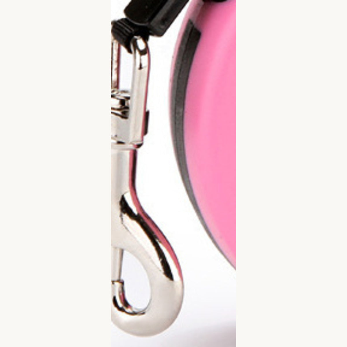 Silver snap hook and the woven tape at the nose of the leash