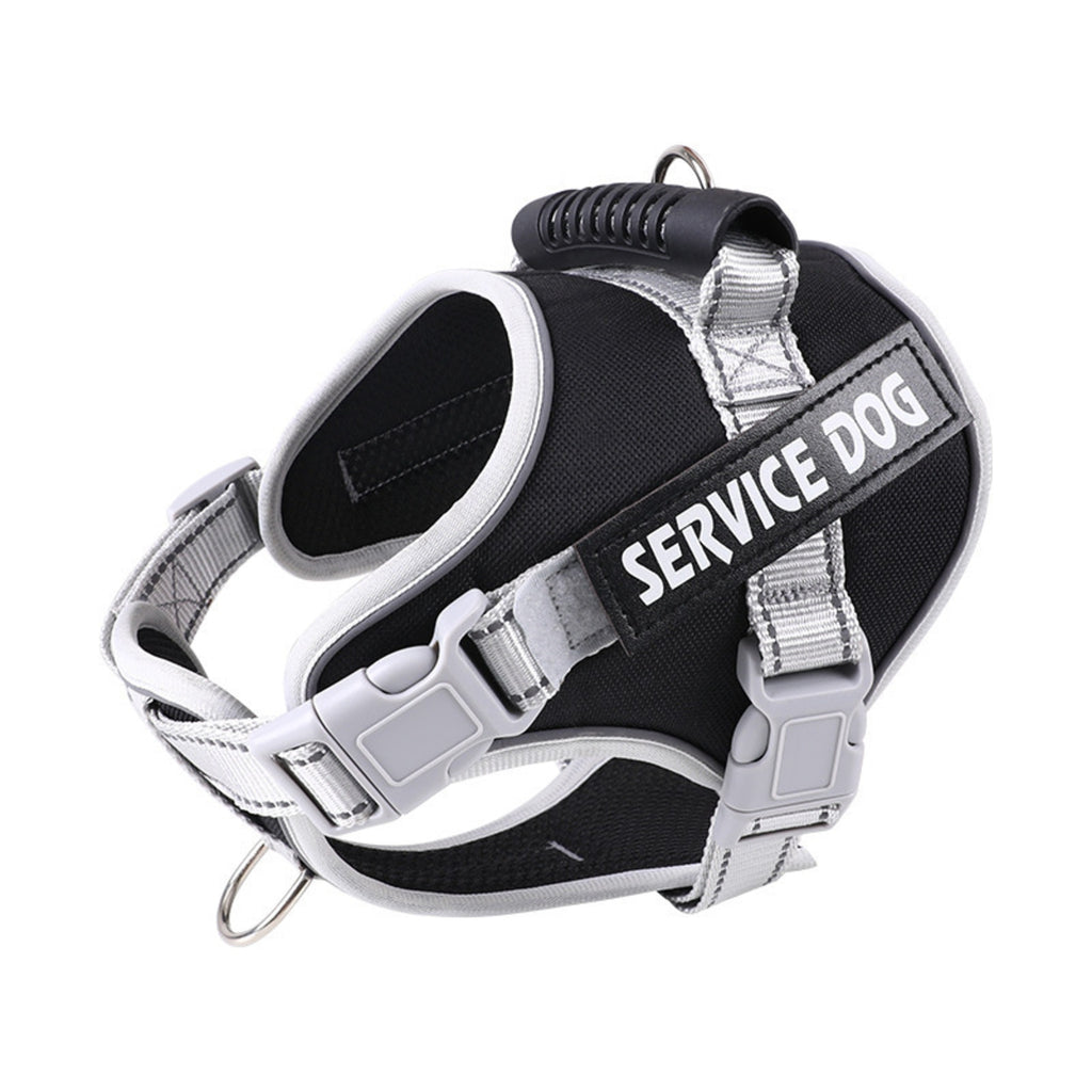Black padded harness with grey webbing, a rigid top handle and a steel ring