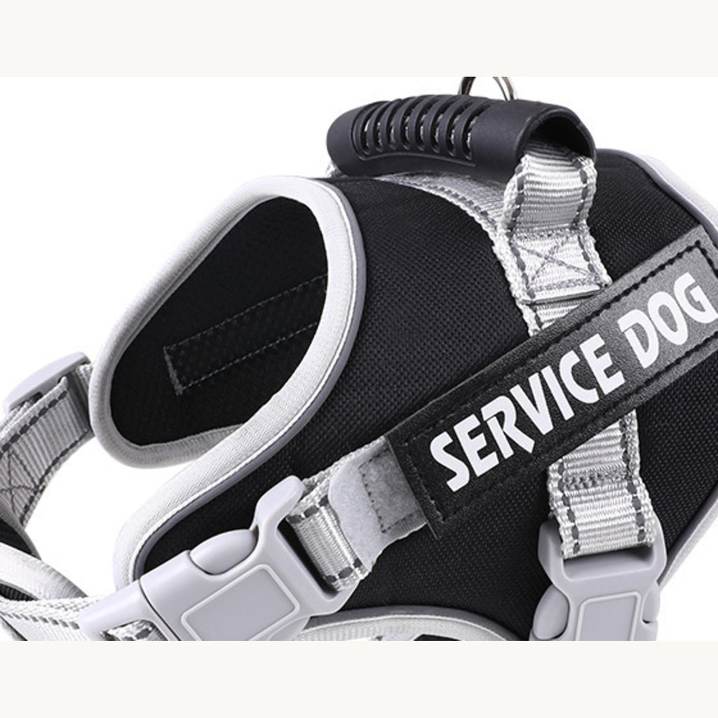 Closer view of the rigid handle, the steel ring and the reflective webbing