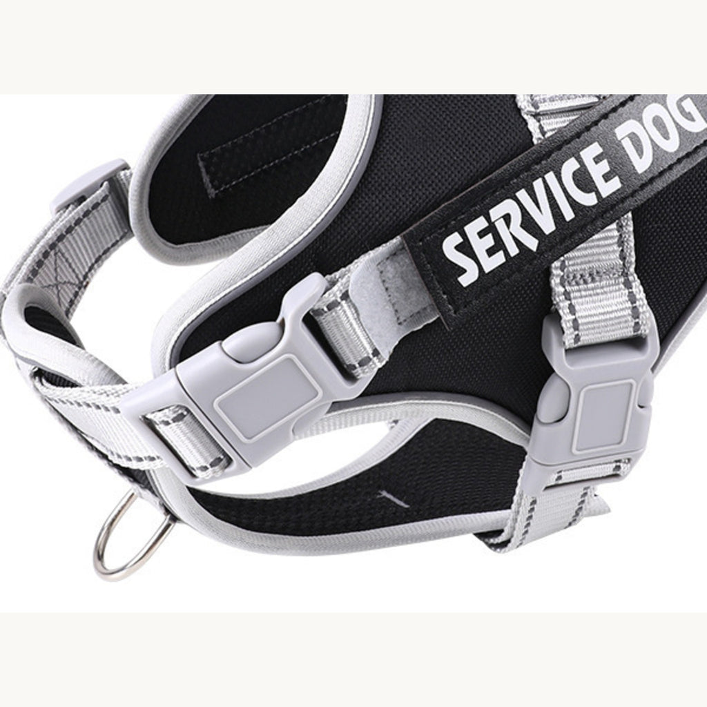 Grey side-release buckles, a hook-and-loop panel and the D-ring below the chest pad