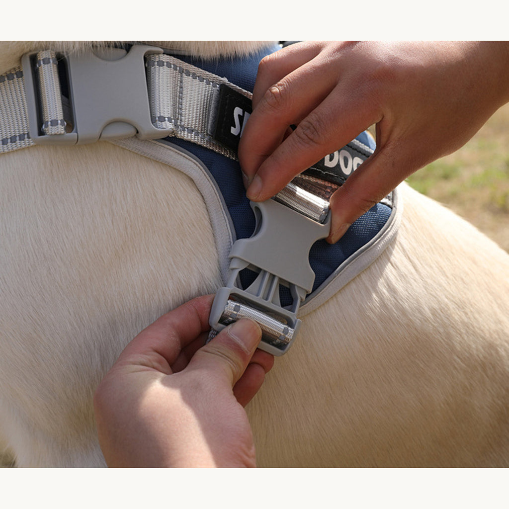 Two hands closing the side buckle of a navy harness on a cream dog