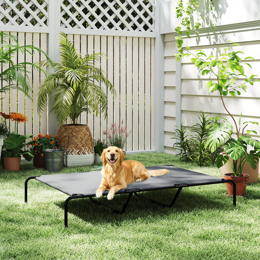 Golden Retriever on the elevated cot on a lawn