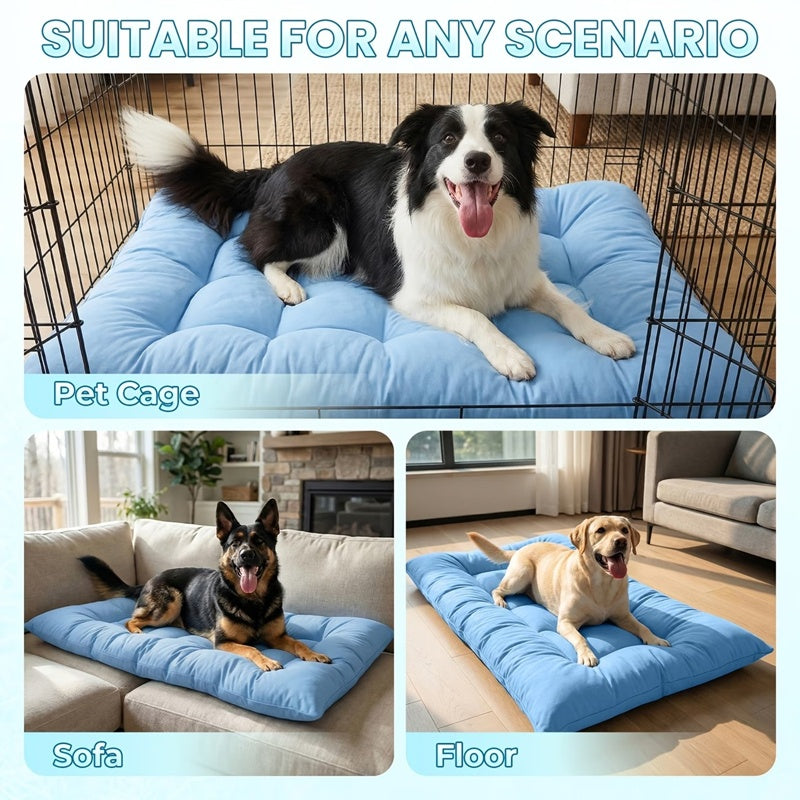 Dog bed used in a crate, on a sofa and on the floor