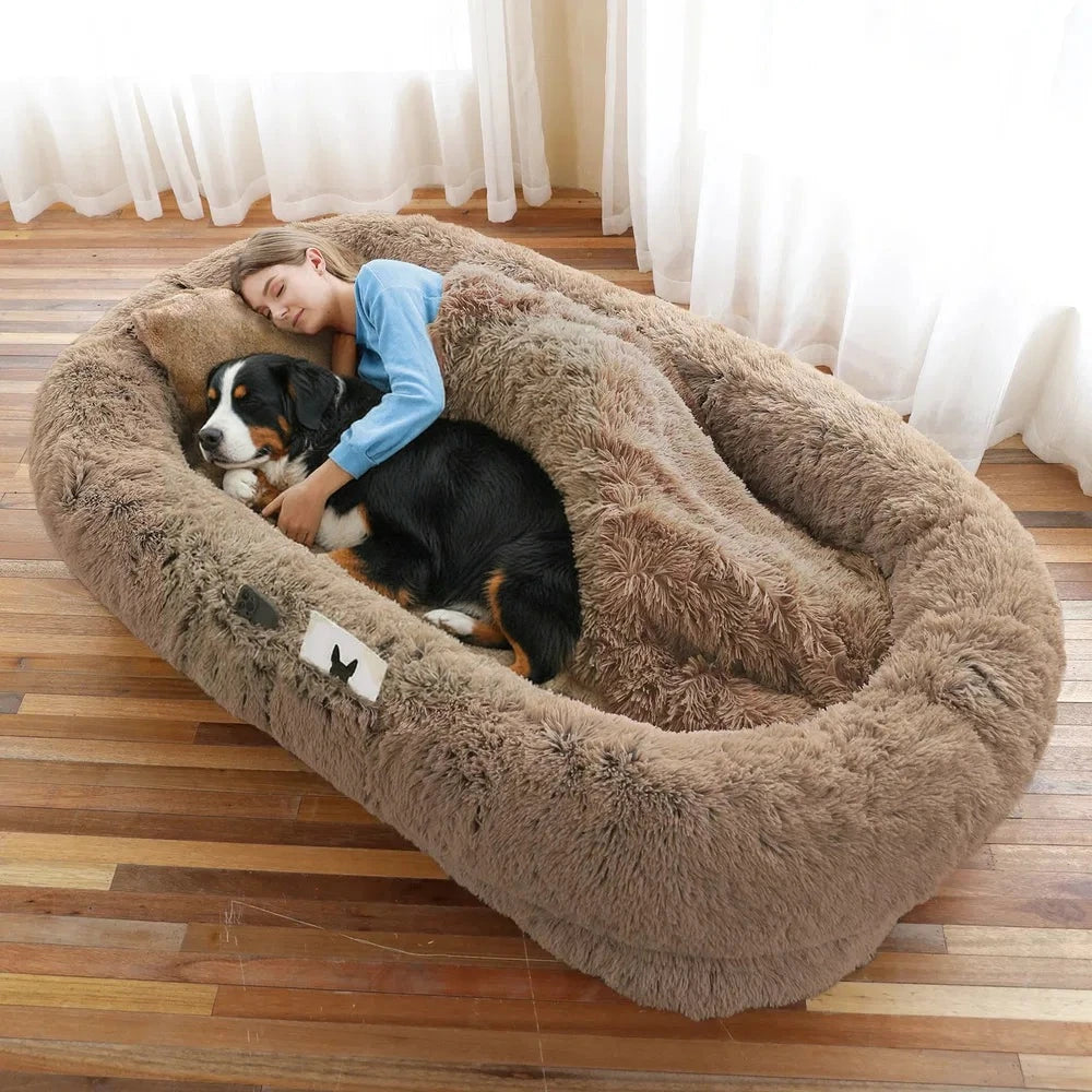 Woman sleeping with a Bernese mountain dog in a khaki faux fur human dog bed