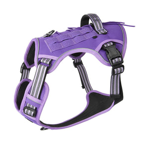 Purple tactical dog harness with a top grab handle and MOLLE side panels