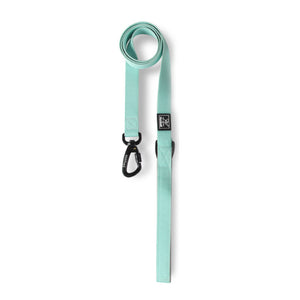 Lightweight Dog Harness with Front and Back Leash Rings: Flat leash, lake green