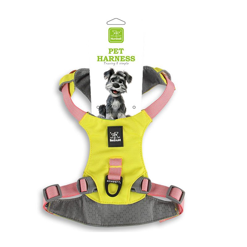 Lightweight Dog Harness with Front and Back Leash Rings, Leash and Collar