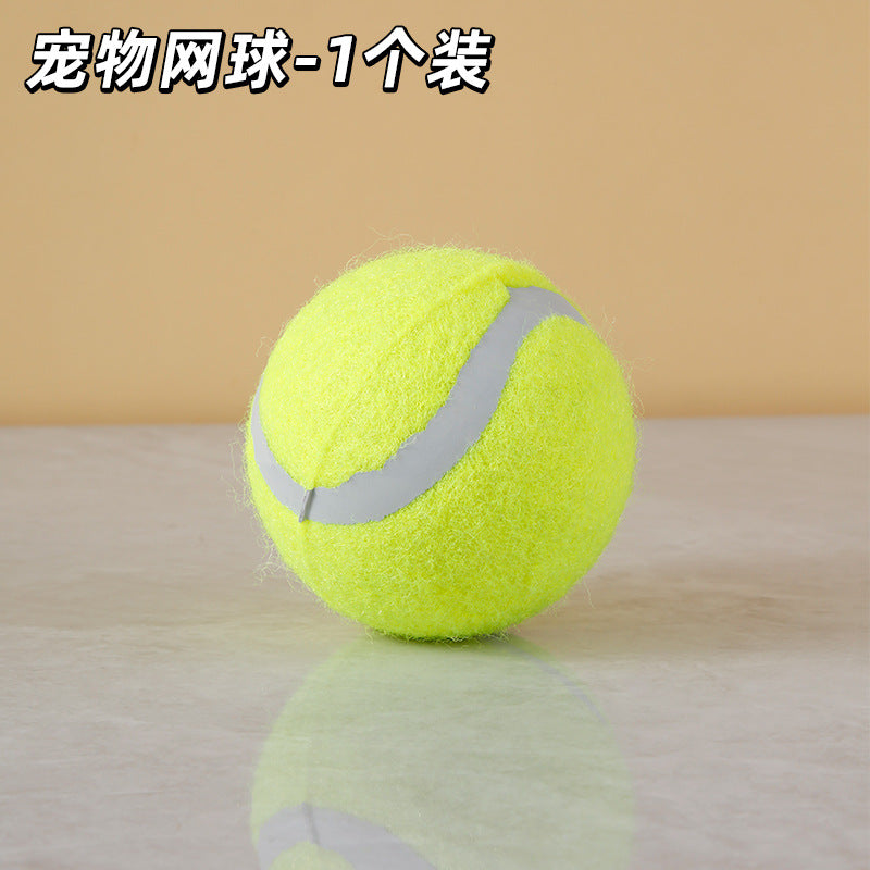 Pop-Open Flying Saucer Dog Ball, Light-Up or Plain