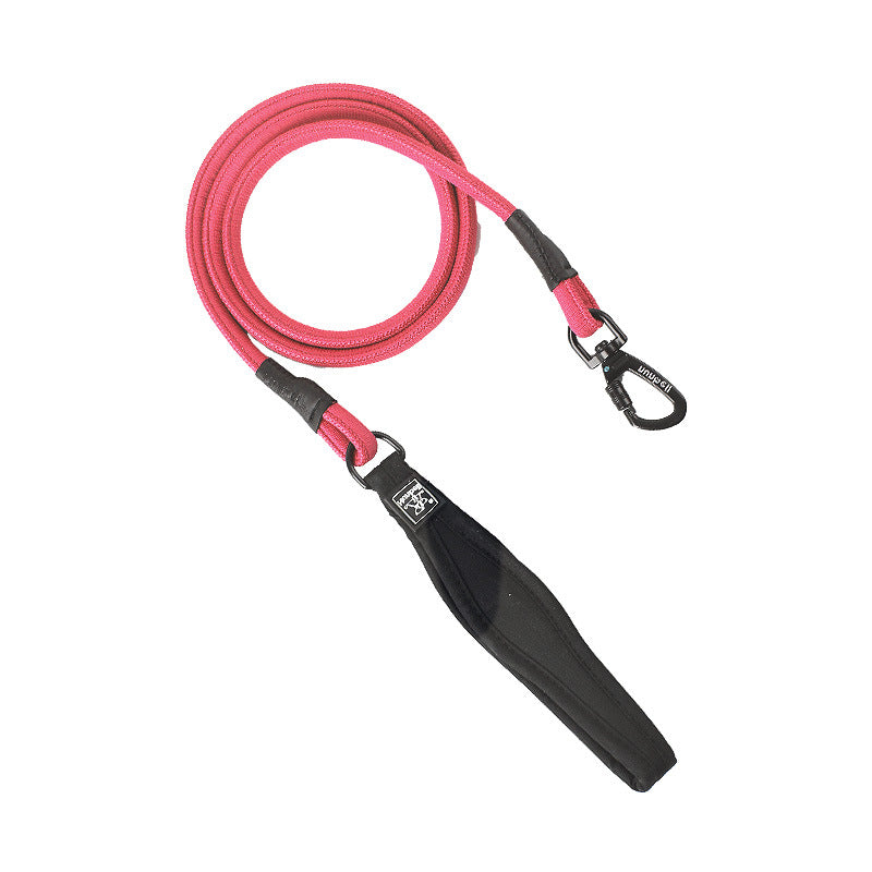 Lightweight Dog Harness with Front and Back Leash Rings, Leash and Collar