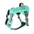 Turquoise tactical dog harness with a top grab handle and MOLLE side panels