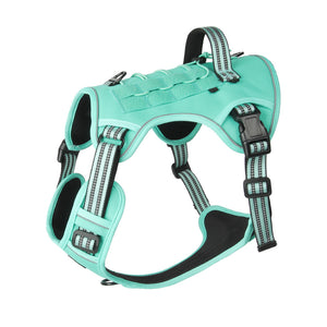 Turquoise tactical dog harness with a top grab handle and MOLLE side panels