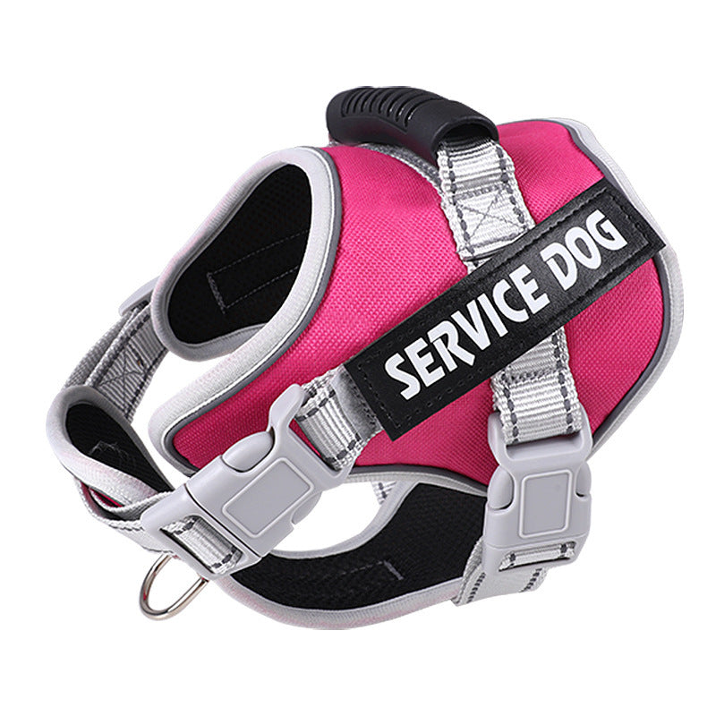 Magenta padded harness angled towards the camera, top handle and side buckles in view