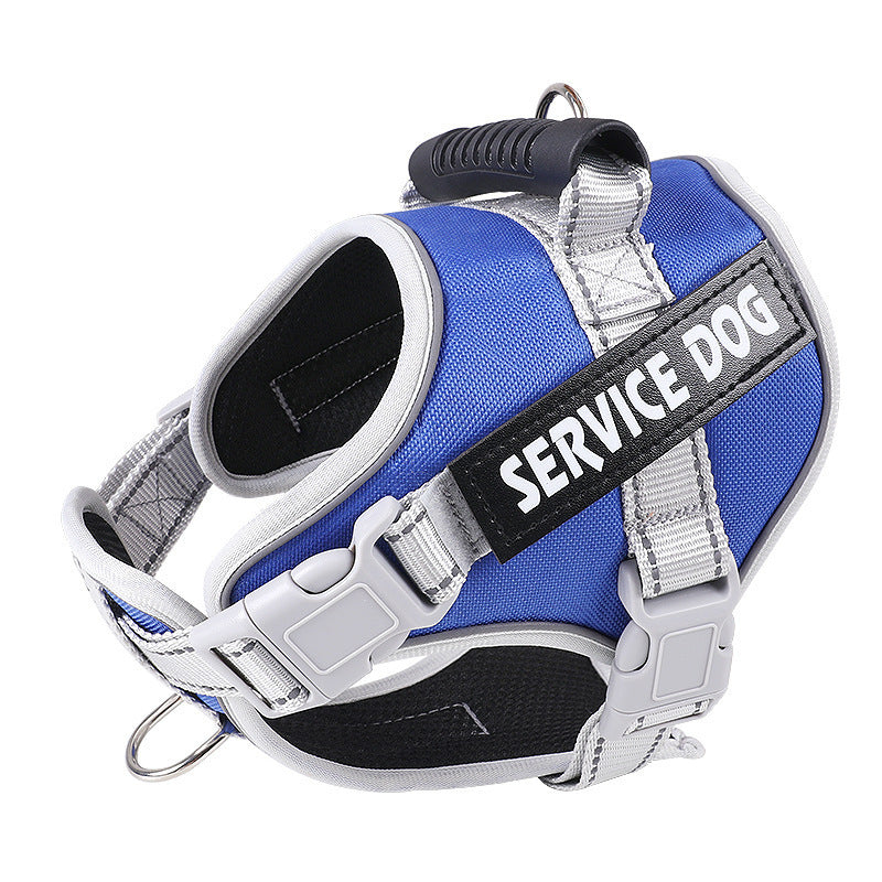 Royal blue padded harness angled towards the camera, top handle and side buckles in view