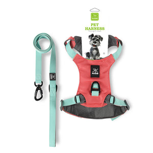 Lightweight Dog Harness with Front and Back Leash Rings: Harness + leash set, red