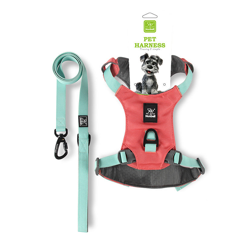 Lightweight Dog Harness with Front and Back Leash Rings, Leash and Collar