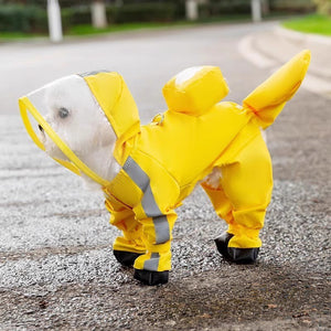 Dog Raincoat: Yellow flowers, legs and tail covered