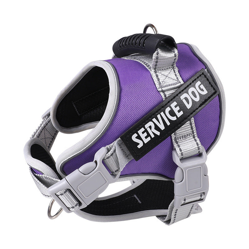 Purple padded harness angled towards the camera, top handle and two side buckles in view