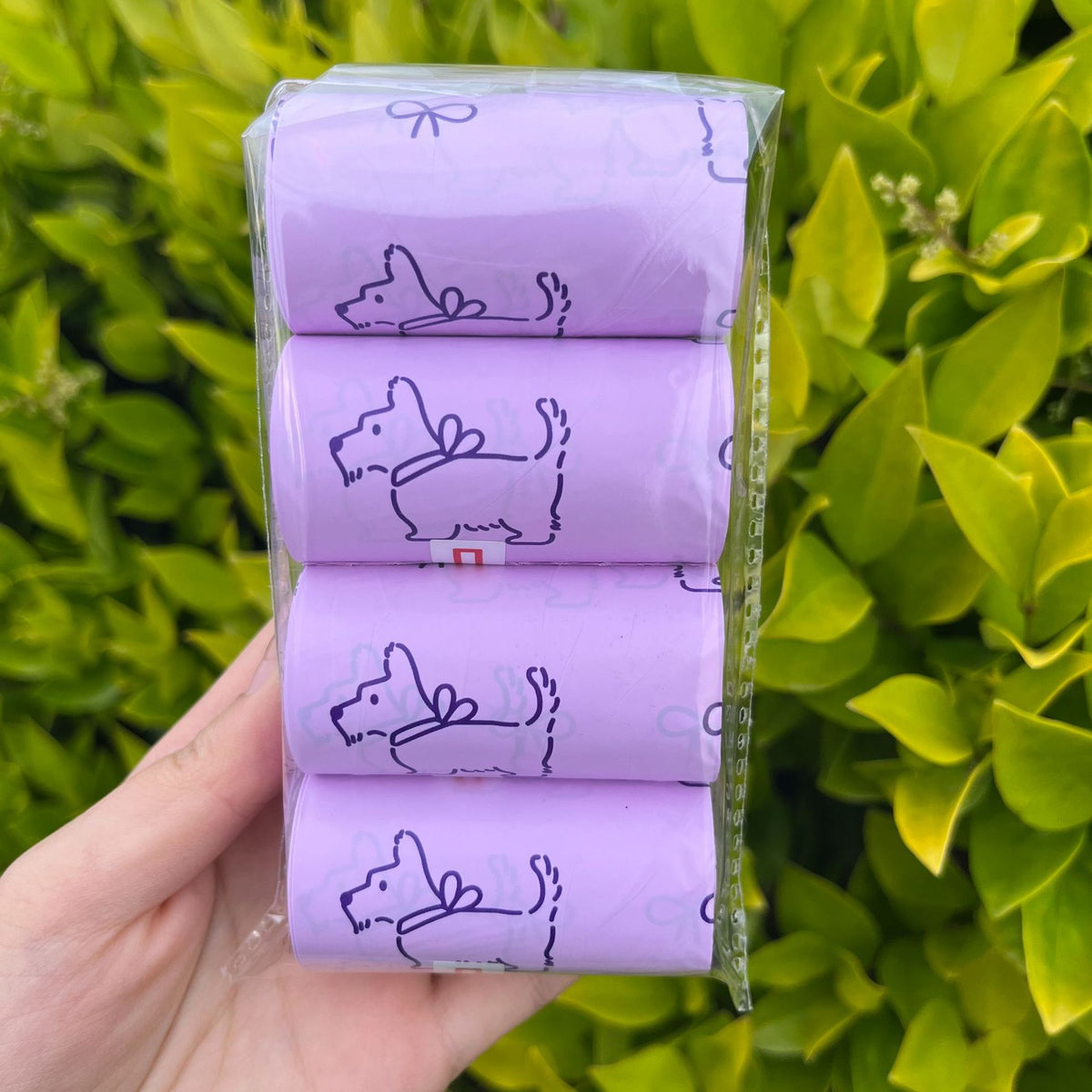 Scented Dog Poop Bags, 4 Rolls, Printed