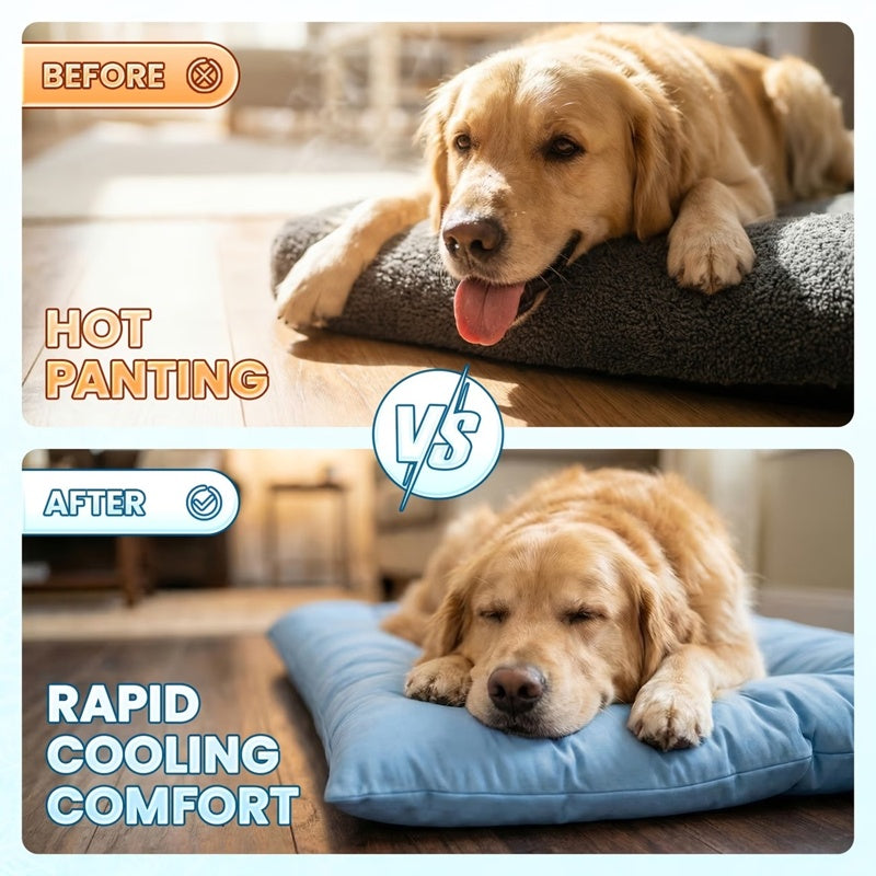Dog resting on the quilted bed on a hard floor