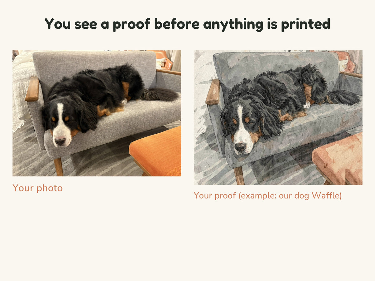 Example proof: a photo of a Bernese Mountain Dog on a grey armchair next to the watercolor proof made from it
