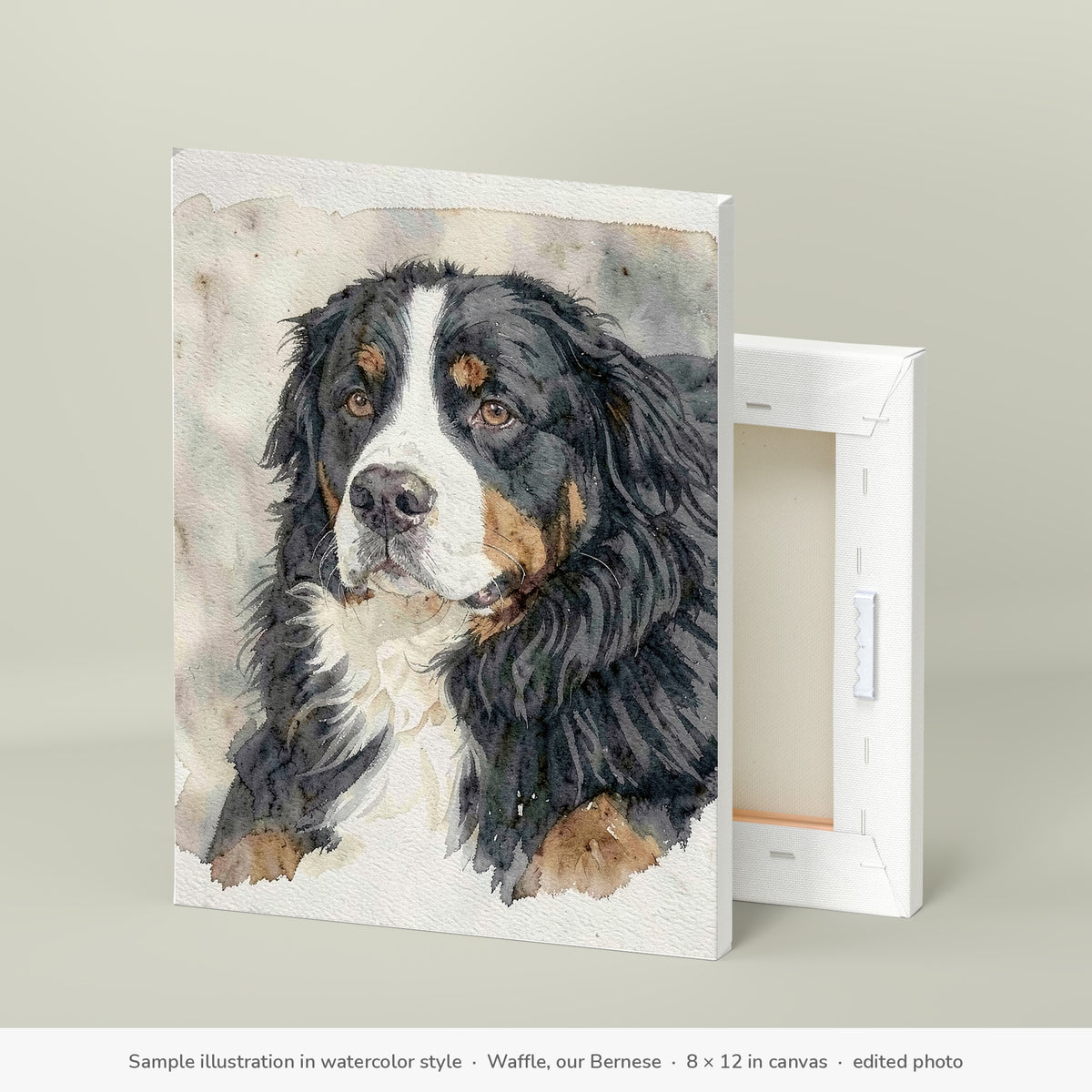 Sample illustration in watercolor style: Waffle, our Bernese Mountain Dog, on the 8 × 12 in canvas (edited photo)
