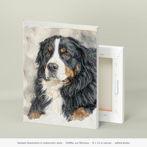 Sample illustration in watercolor style: Waffle, our Bernese Mountain Dog, on the 8 × 12 in canvas (edited photo)