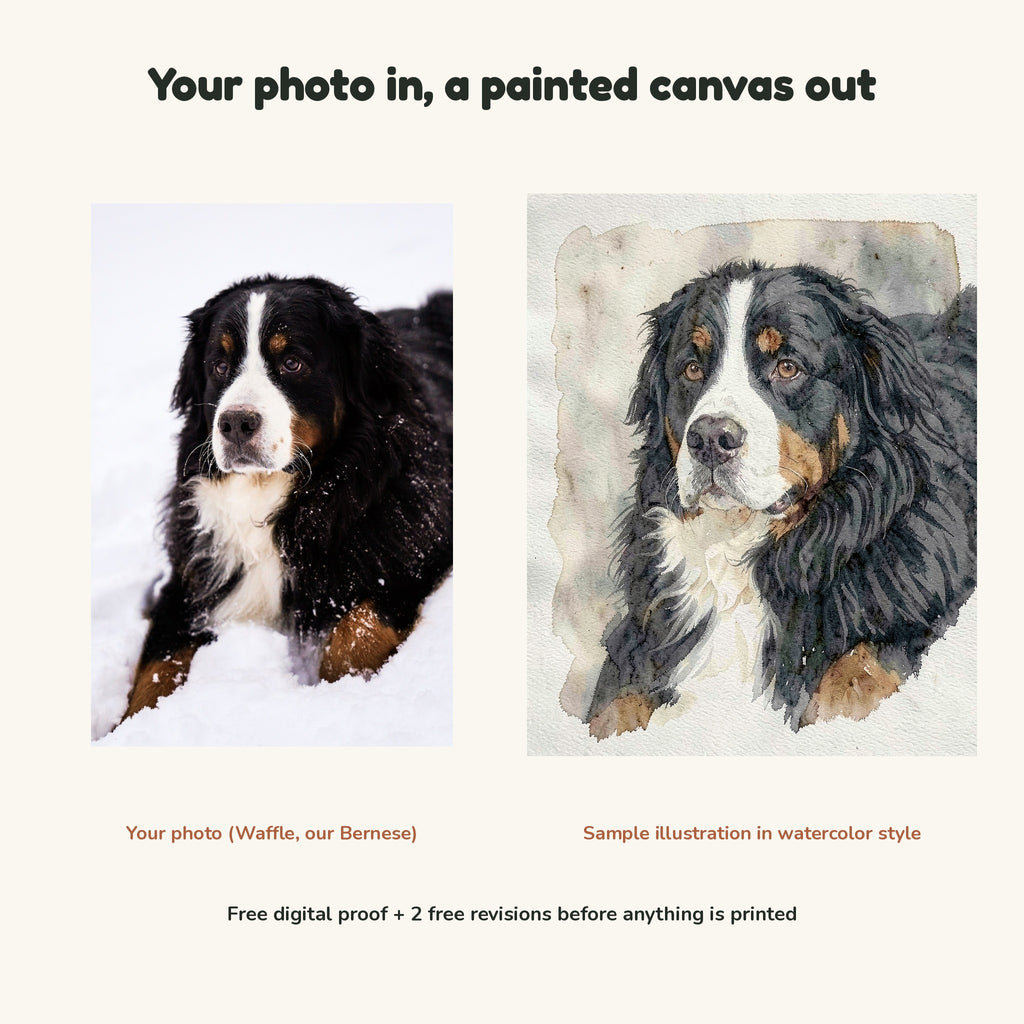 Your photo in, a painted canvas out: a photo of Waffle in the snow next to the sample illustration in watercolor style made from it