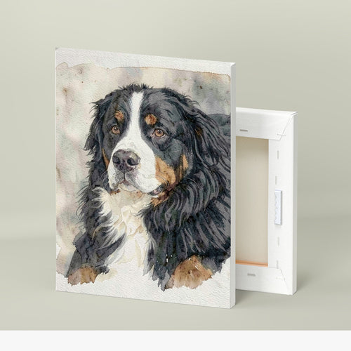 Stretched 8 x 12 in canvas holding a watercolour-style painted portrait of Waffle, our Bernese Mountain Dog (sample illustration, edited photo)
