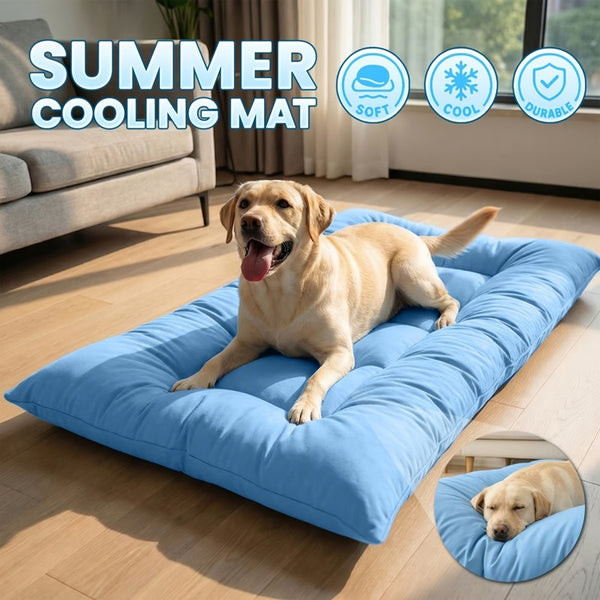 Extra-large light blue quilted dog bed on a living-room floor with a Labrador lying on it