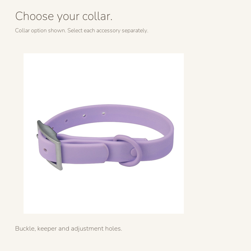 PVC-coated dog collar, leash and harness: collar